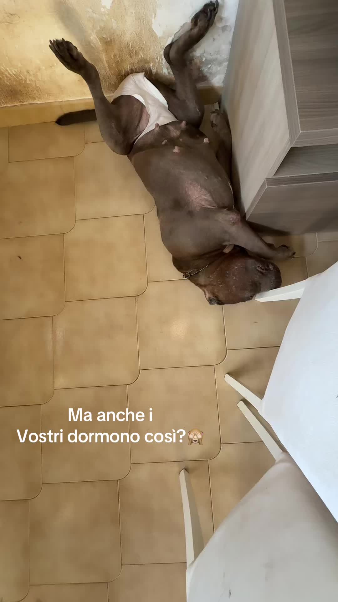 @Vanessa Librando