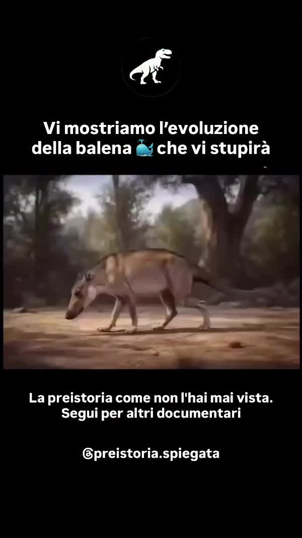 @Ilaria Musco