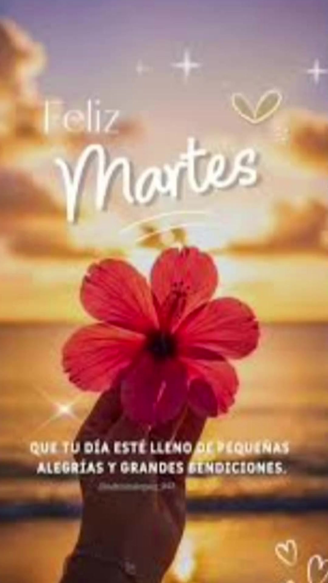 @Maria Ysabel 🇻🇪