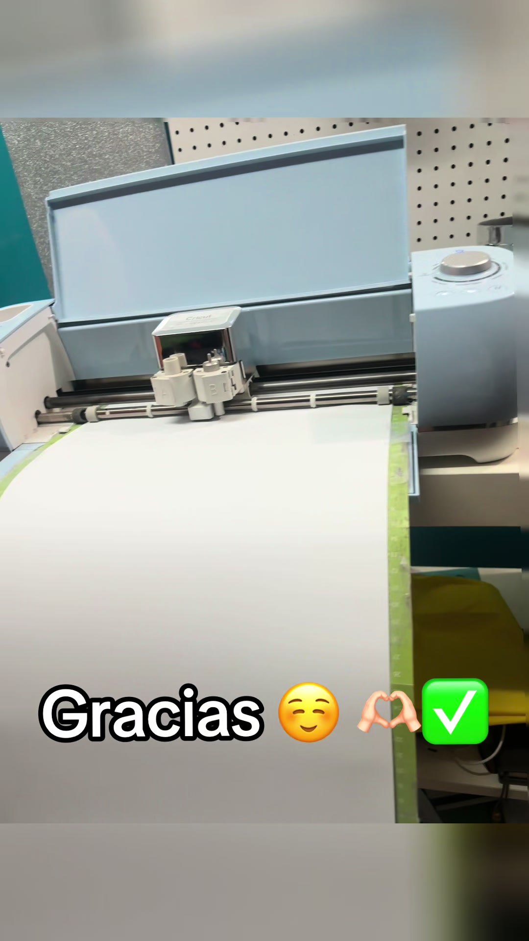 @Palomasosa 🎀😘🌻💪🏋🏻♀️
