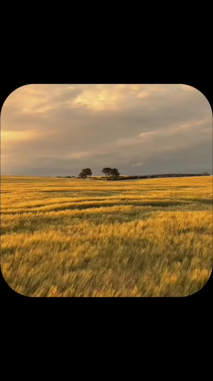 @Guerrera de jesucristo