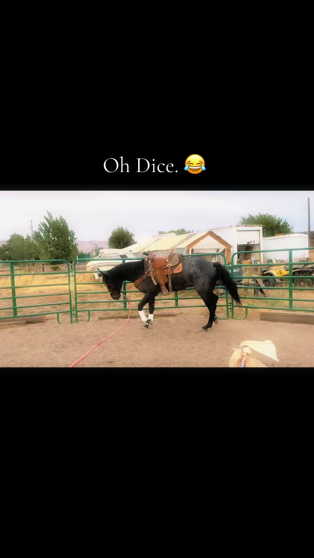 @Cowgirl Tuff Colt Training ❤️