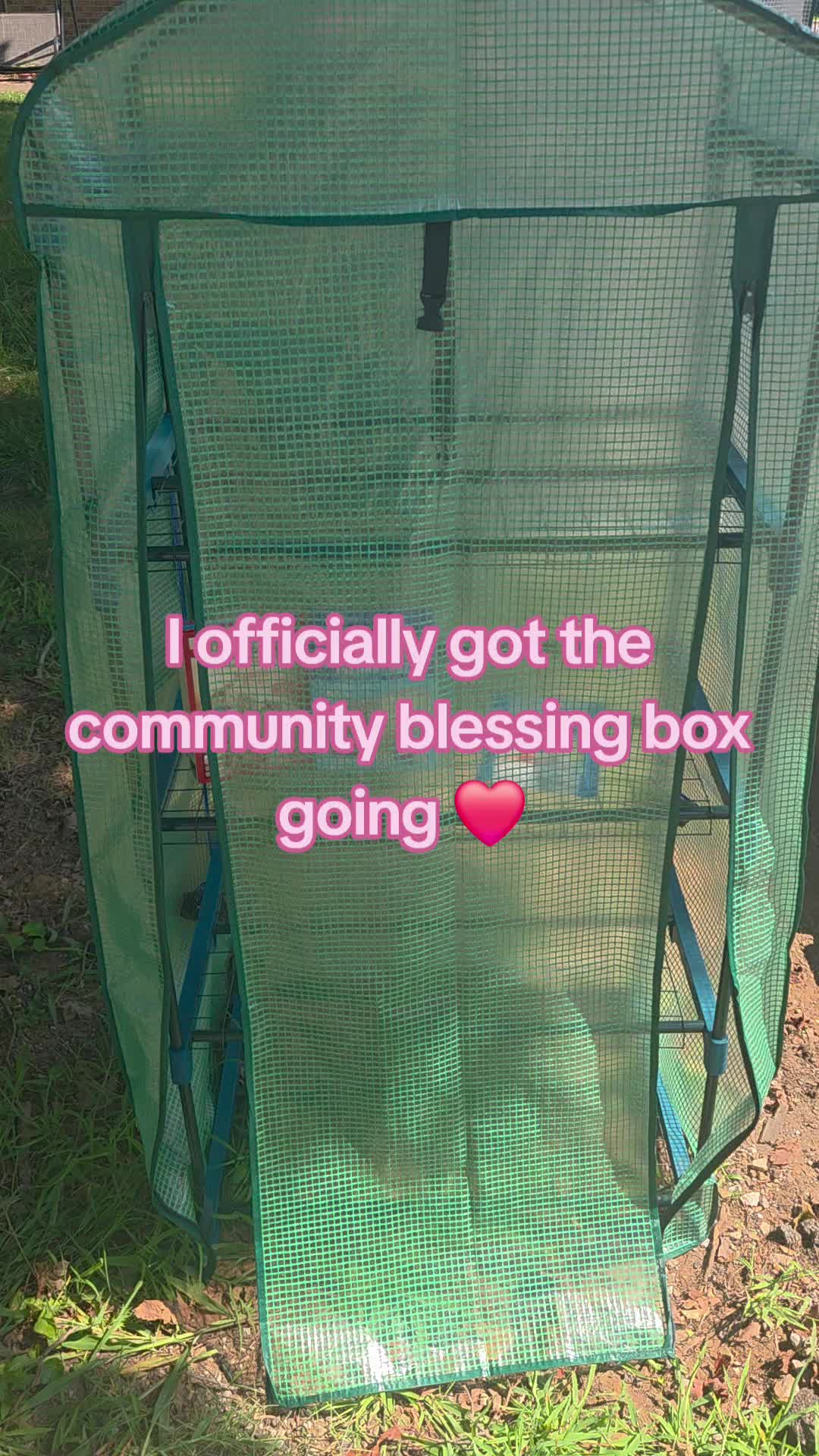 @Cindy🐈