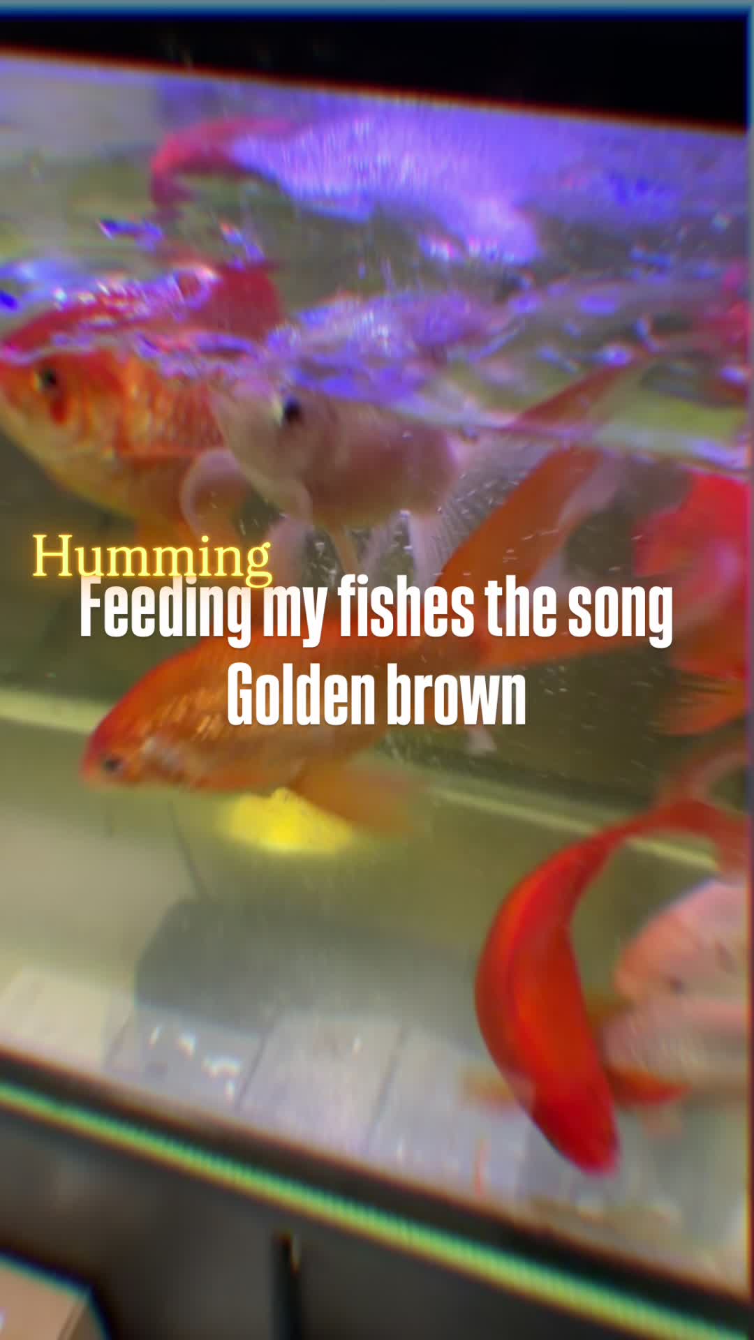 @โ ๐๐ฅ๐๐ข๐๐ฒ๐๐ง๐™โ