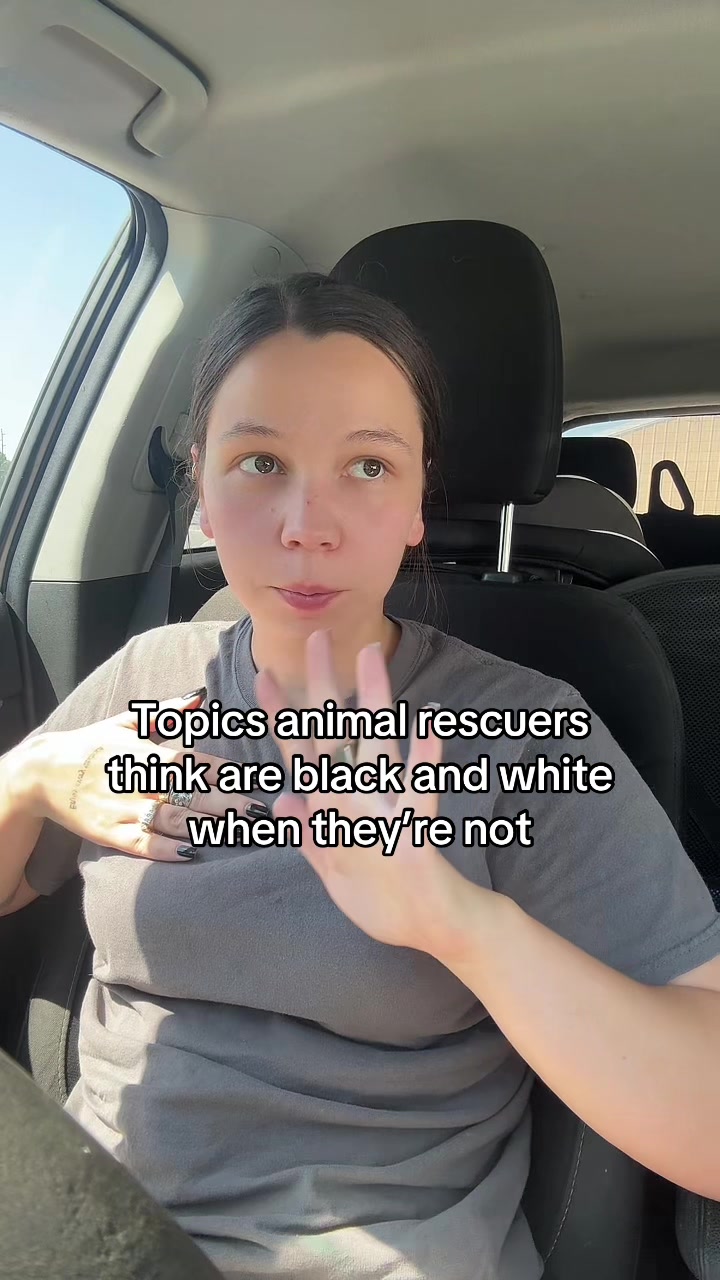 @Kayleigh + Dogs