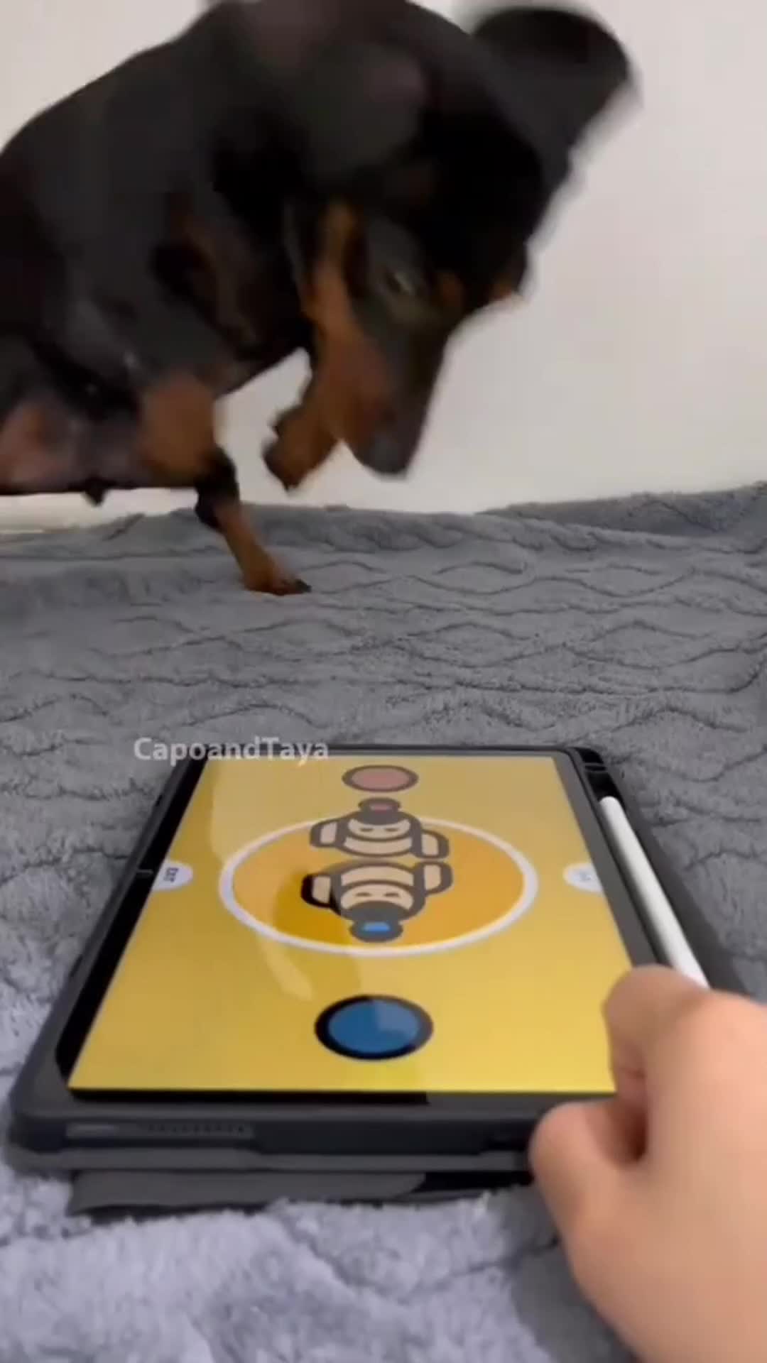 @KingMHeditz