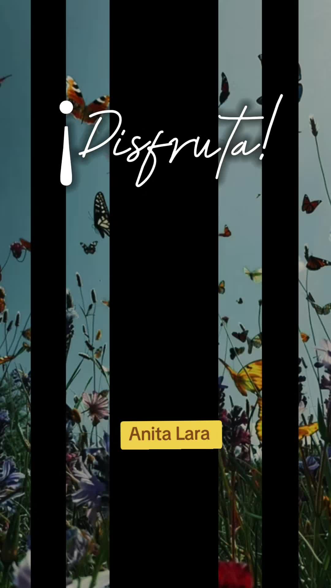 @Anita Lara