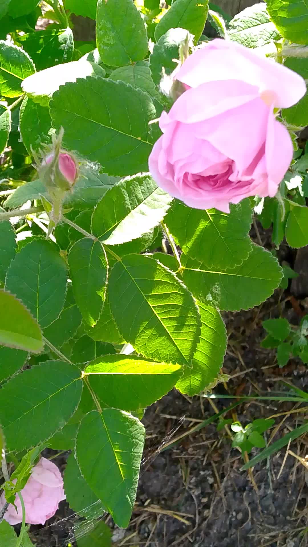 @ОЛЬГА