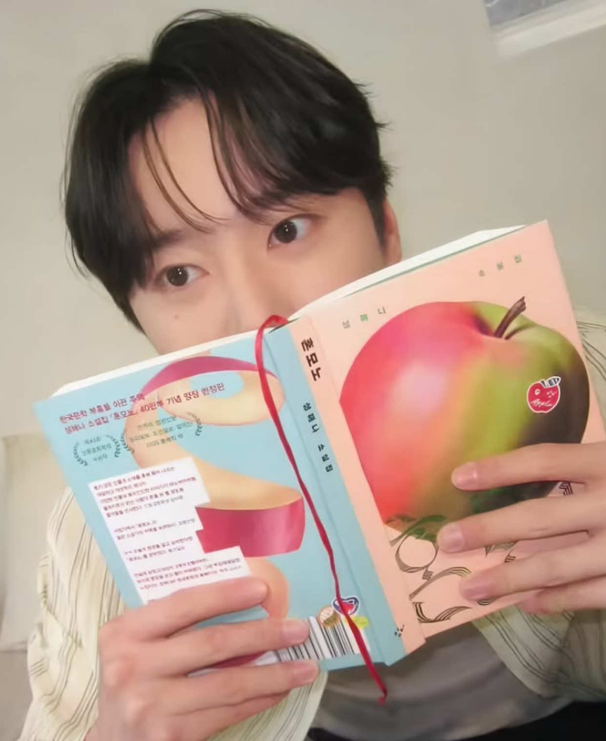 @뉴비보고싶었어