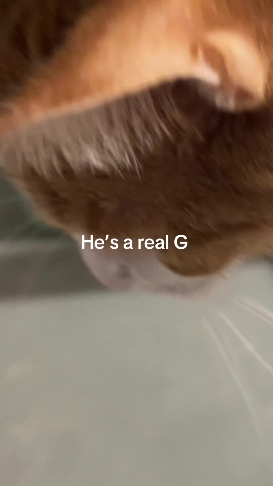 @Beastly_Grains_of_Grass