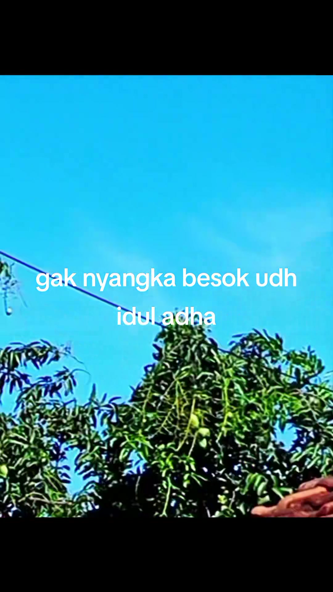 @SBP GANK SOND SYISTEM