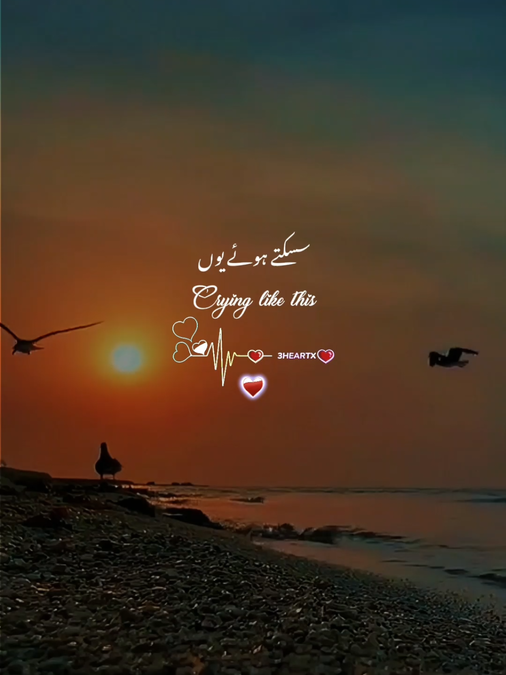 @ᥫ᭡³Hҽαɾƚx
