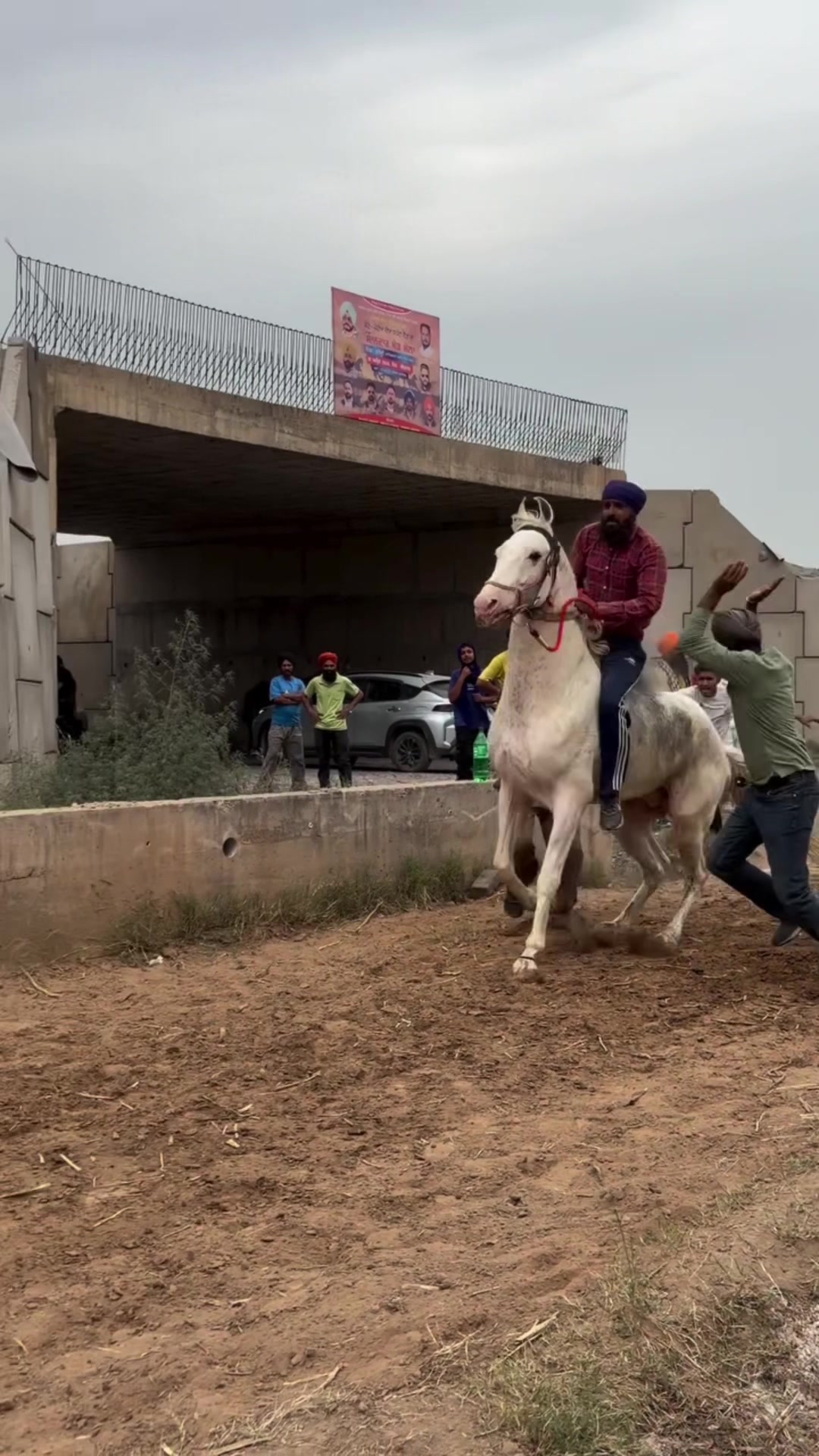 @🏇 MARWARI HORSE RACING 🏇
