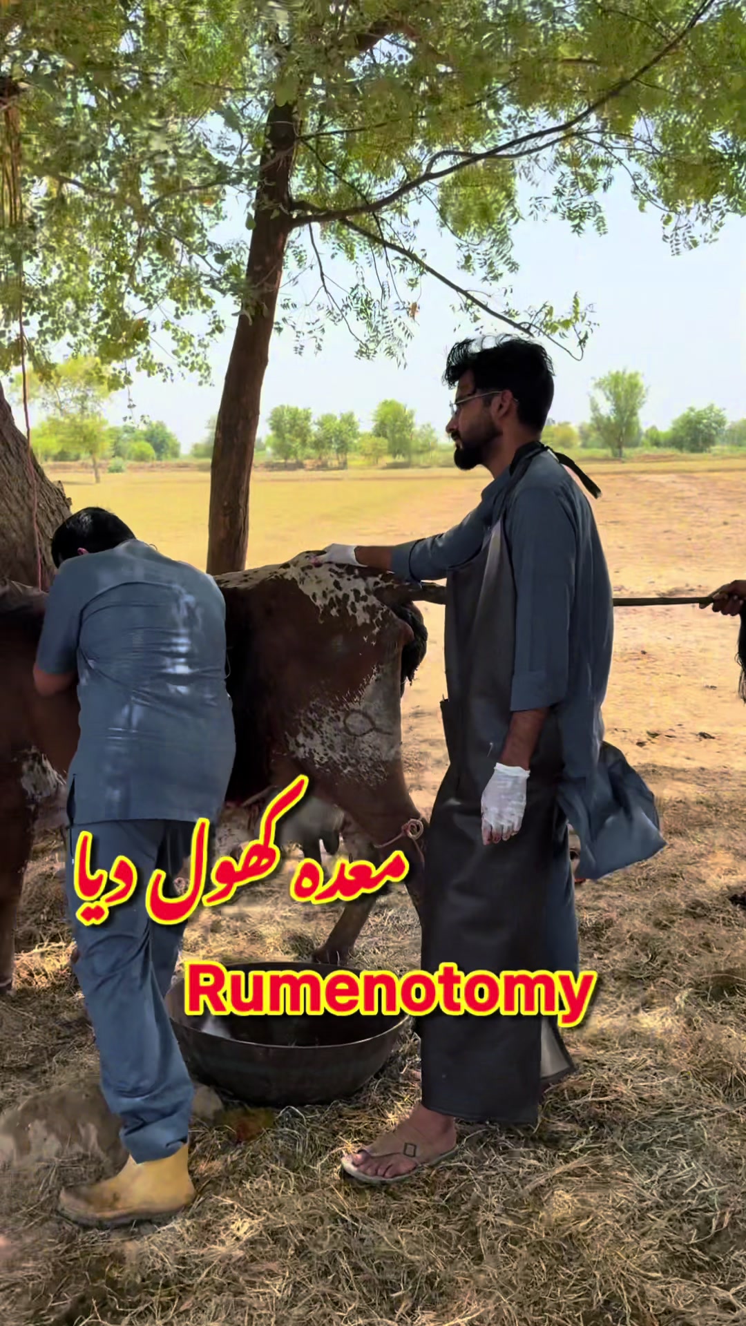 @Dr.Mohsin