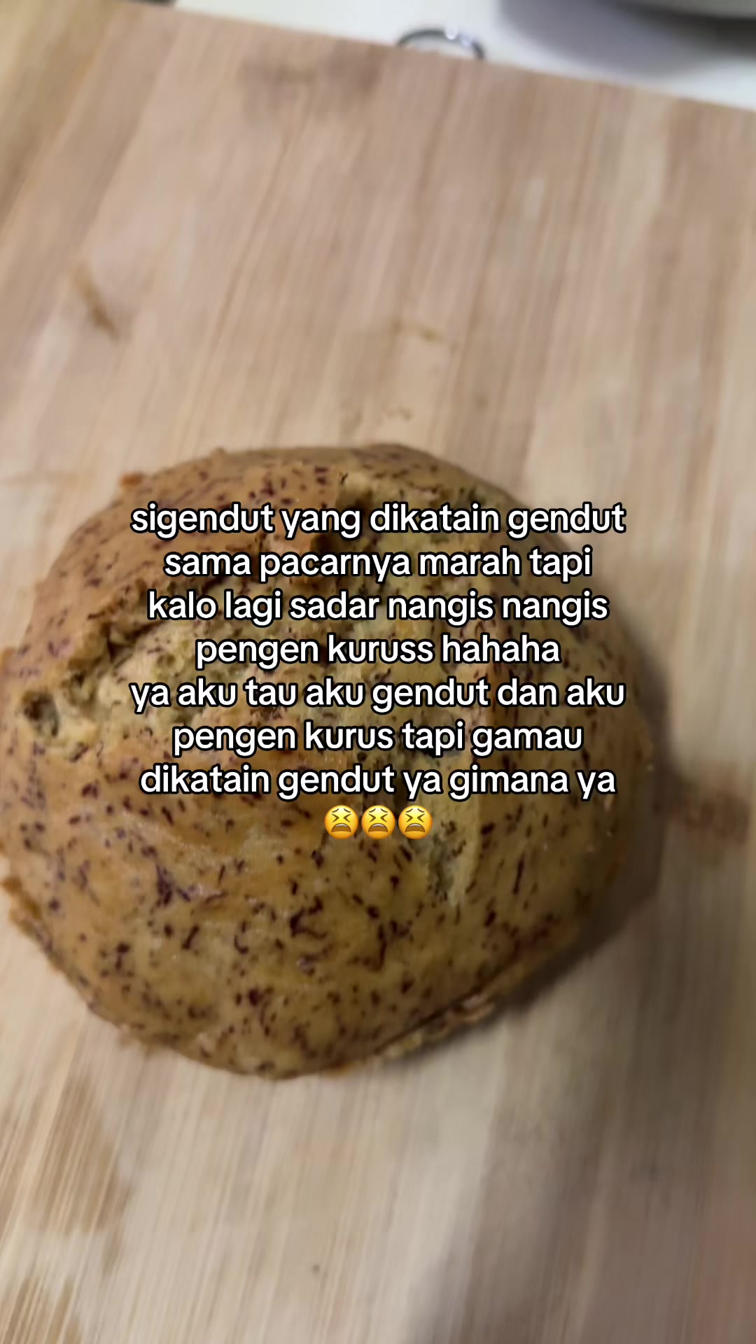 @littlebite9
