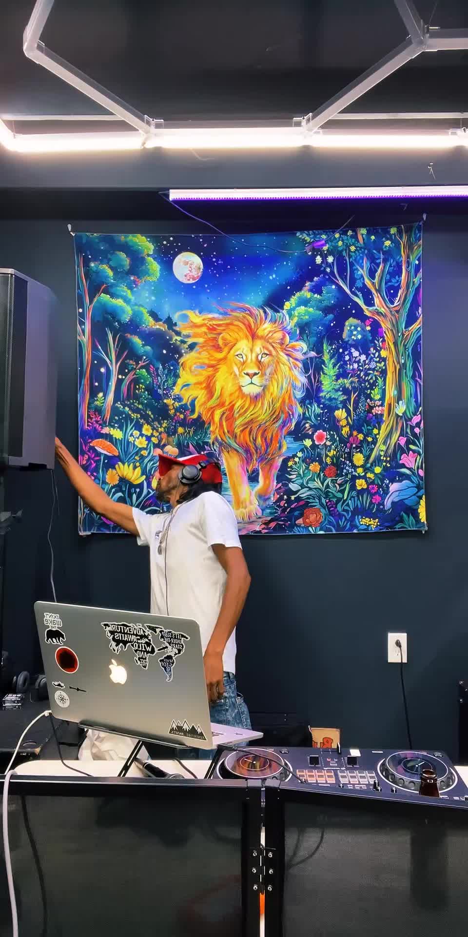 @Dj coolie Kartel NiteRiderz🦍