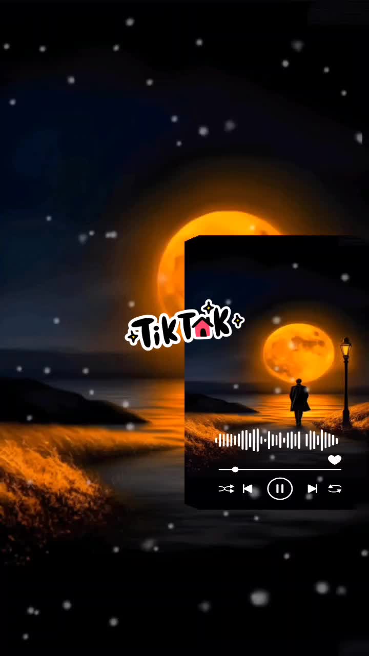 @Mr TikTok