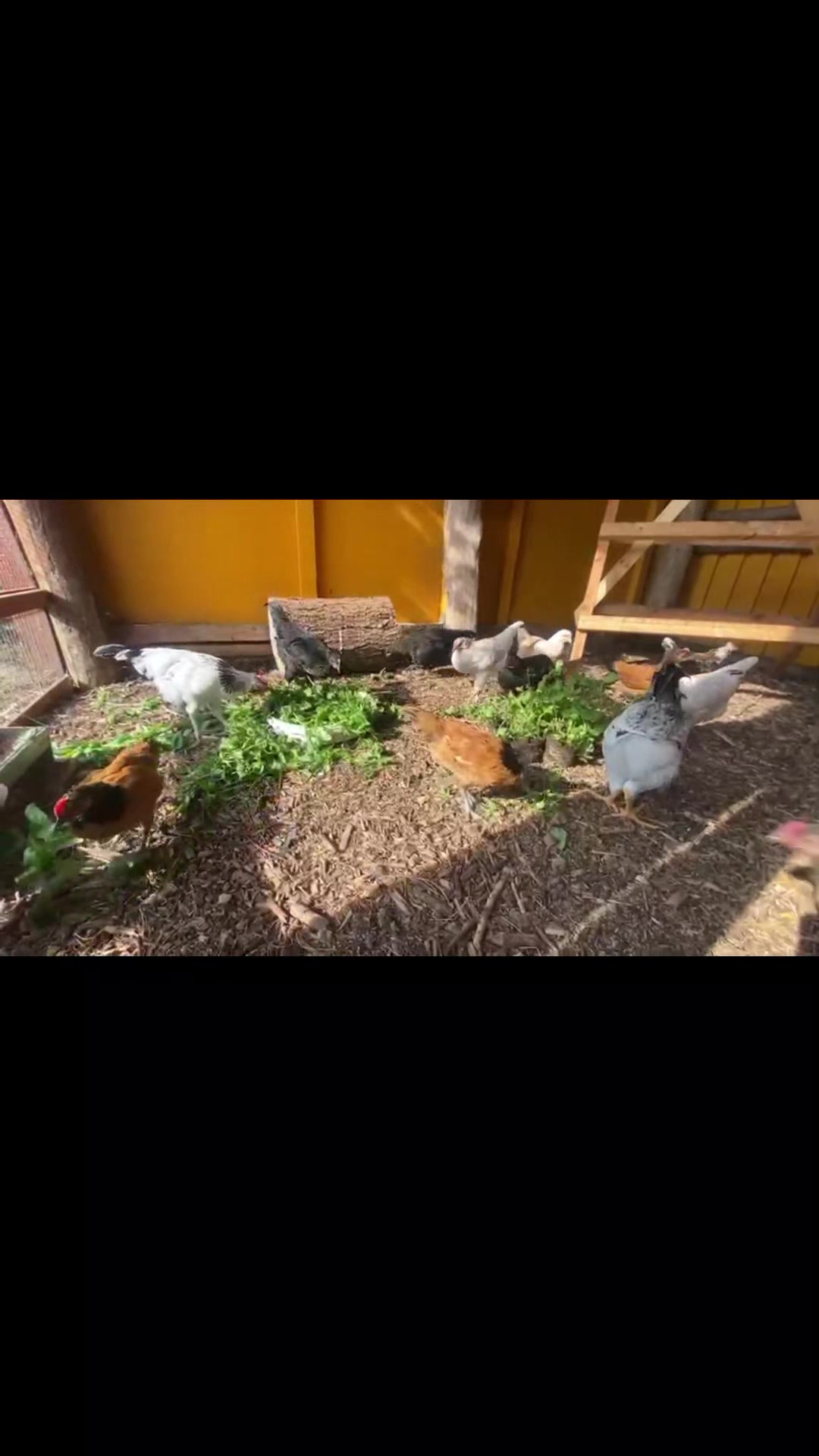 @🦚🆃𝓲𝓮𝓻🅿𝓪𝓻𝓴🆃𝓸𝓴🦚