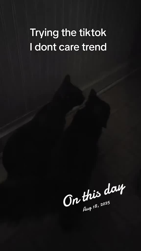 @Jambofan❌️