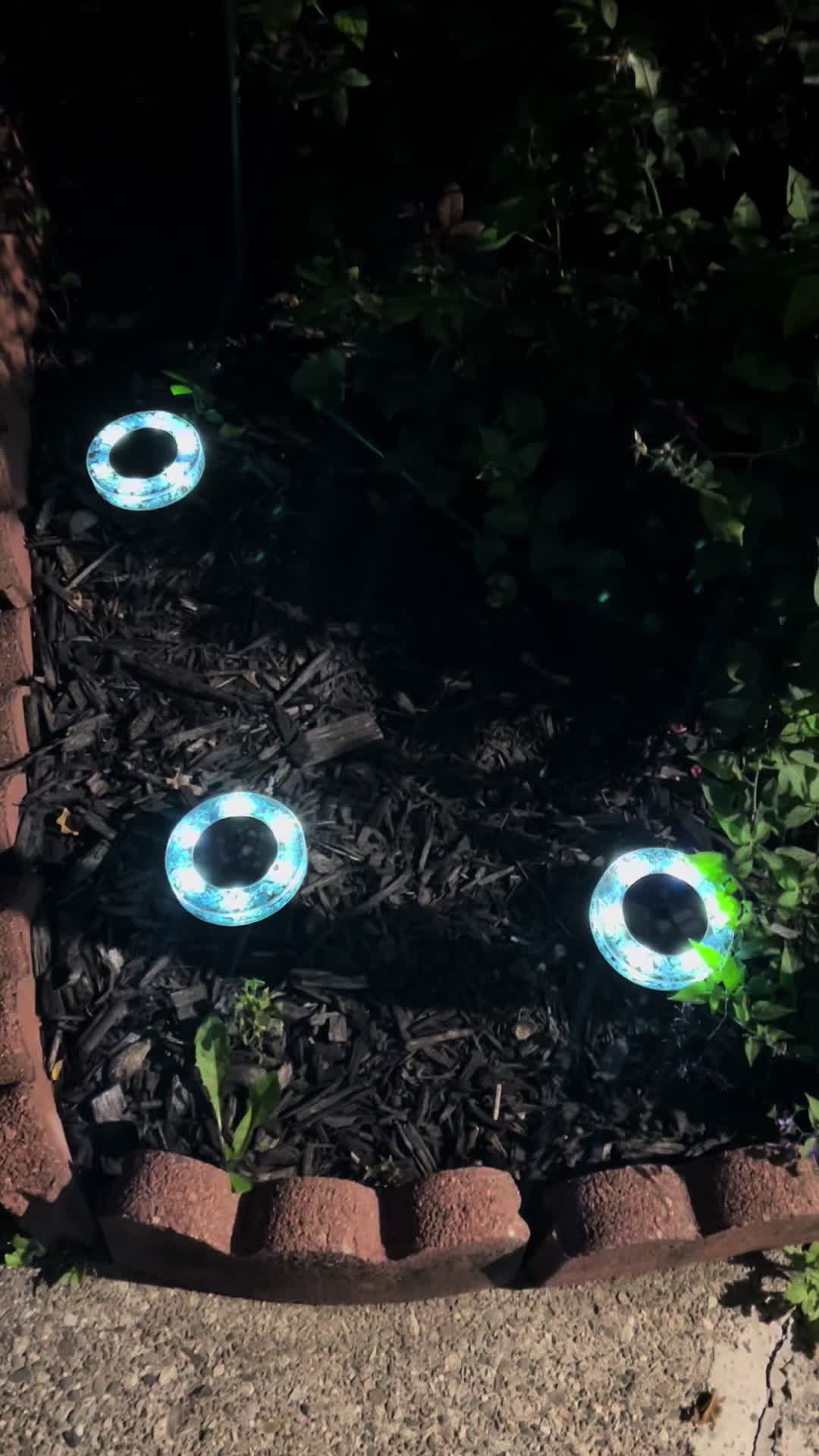 @jojo♥️autism💚garden💙dogmom