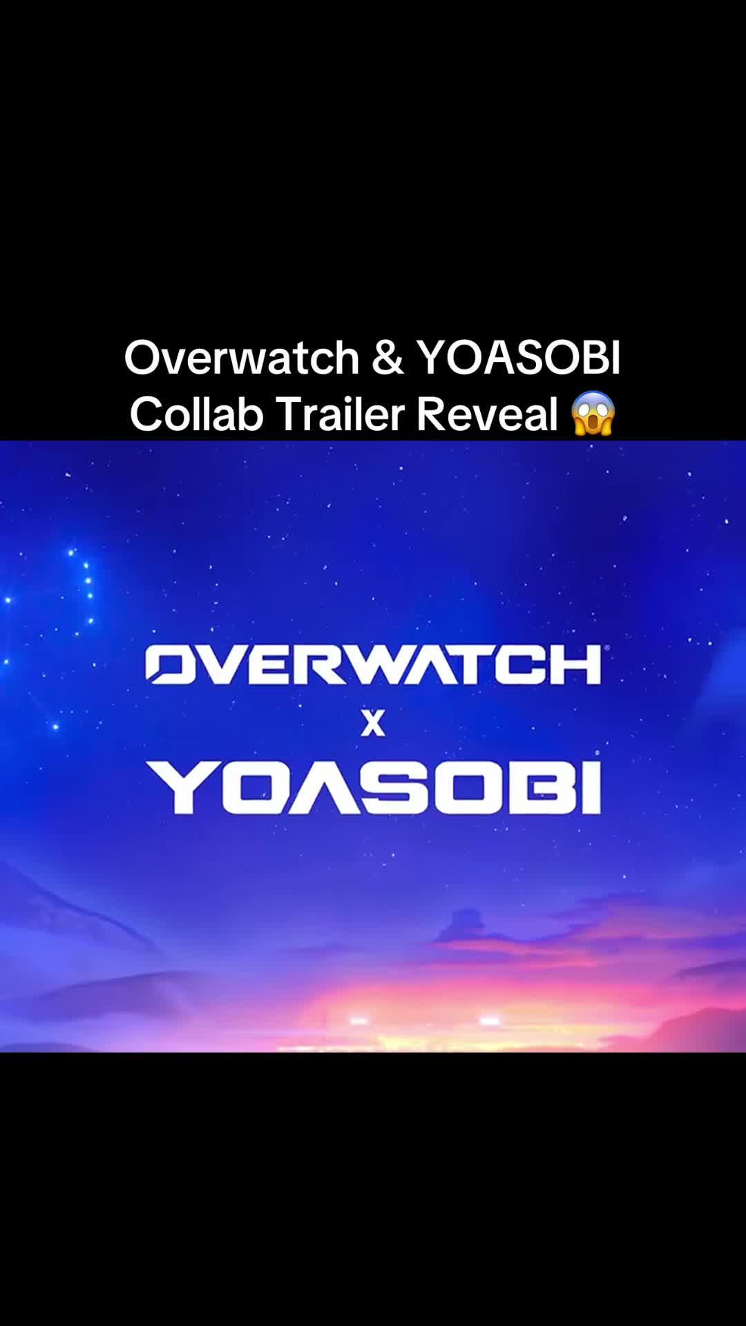 @Tokki 🐰