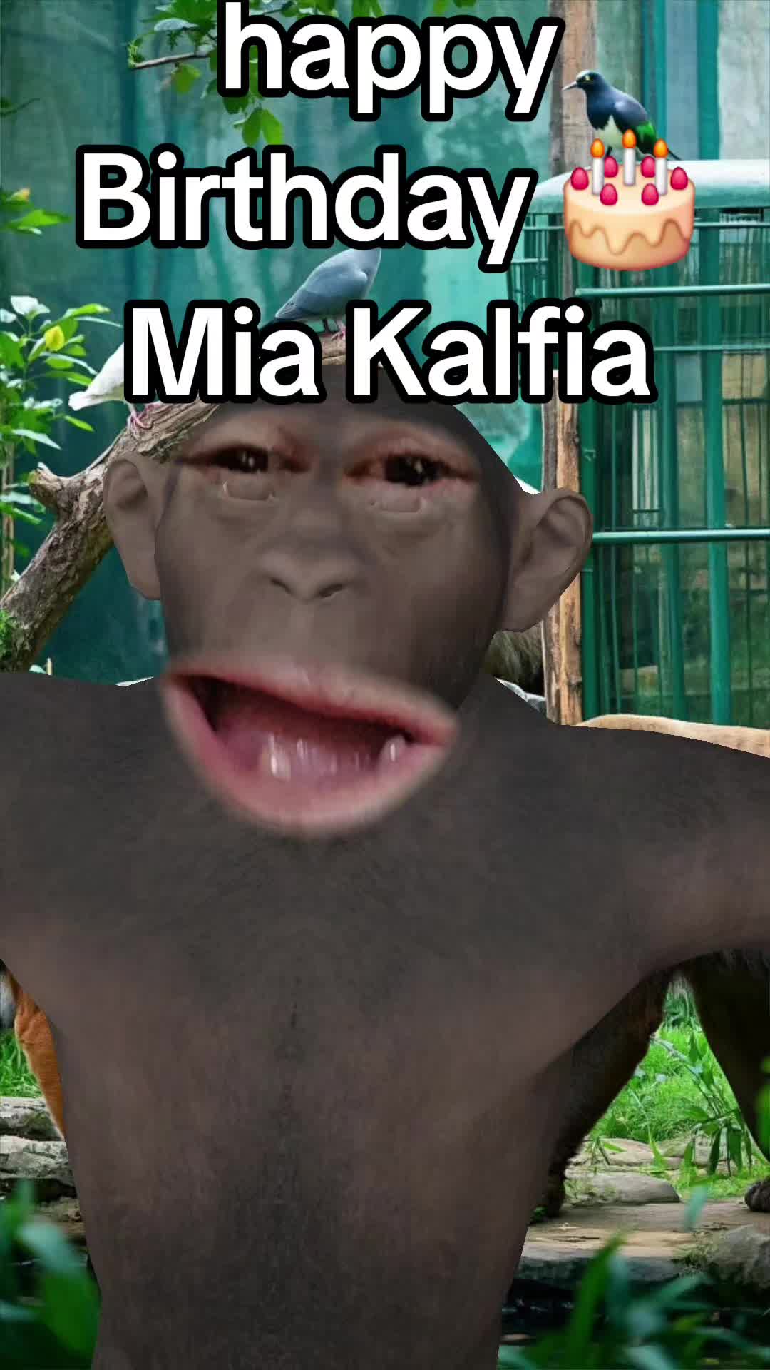 @bufordoverland 2