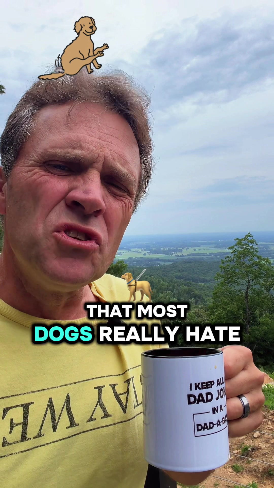 @Bad Dad