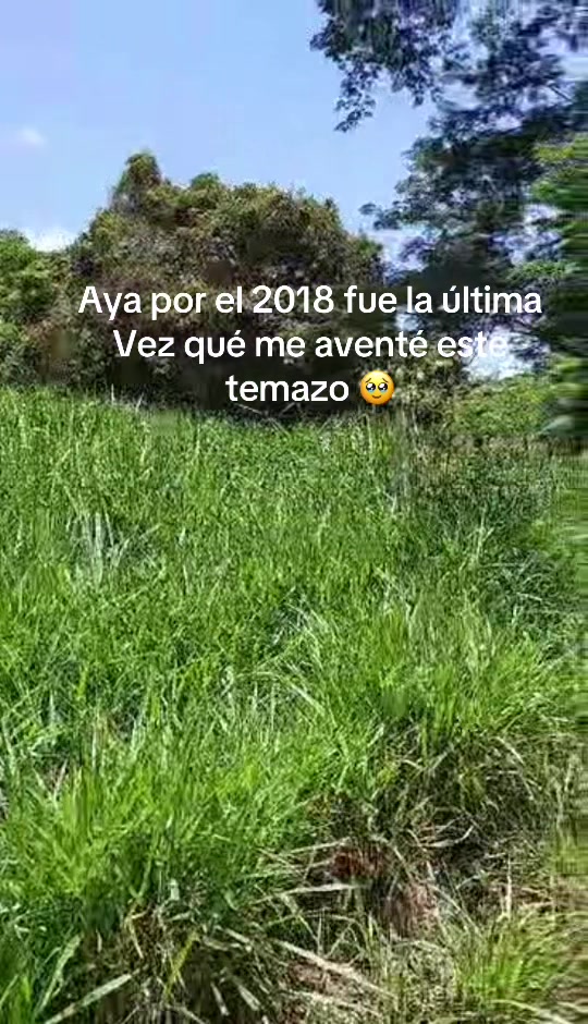 @Edgardo.hn