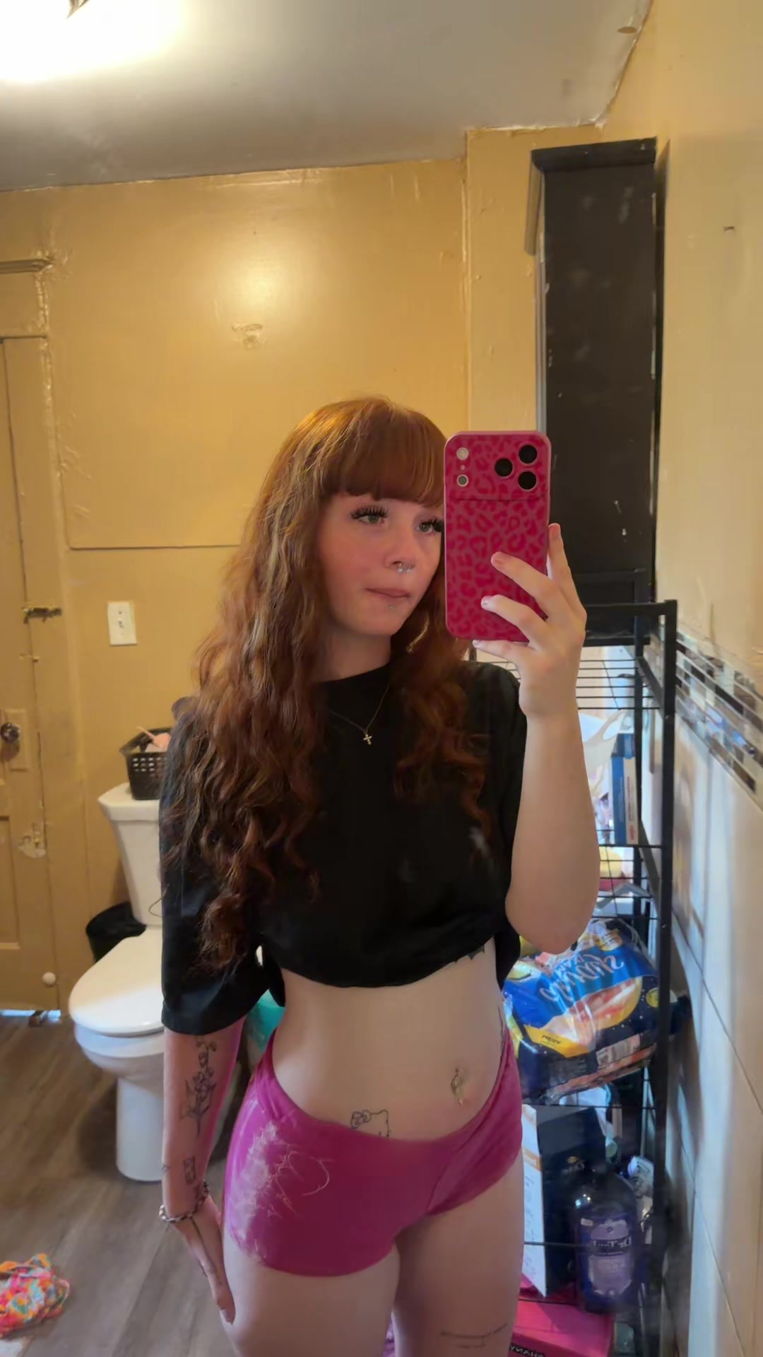 @gingertitus
