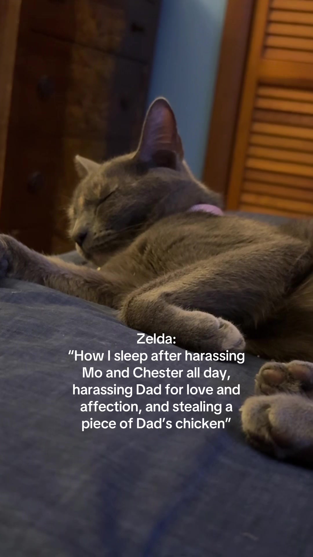 @Matthew🐺