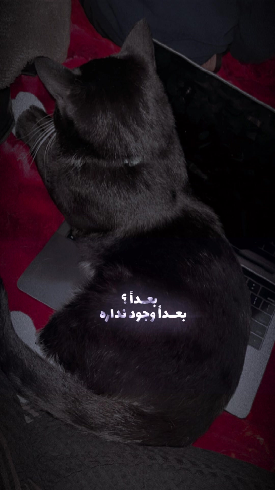 @☠️⚡ 𝑫𝒂𝒓𝒌 𝑺𝒐𝒖𝒍 ⚡☠️