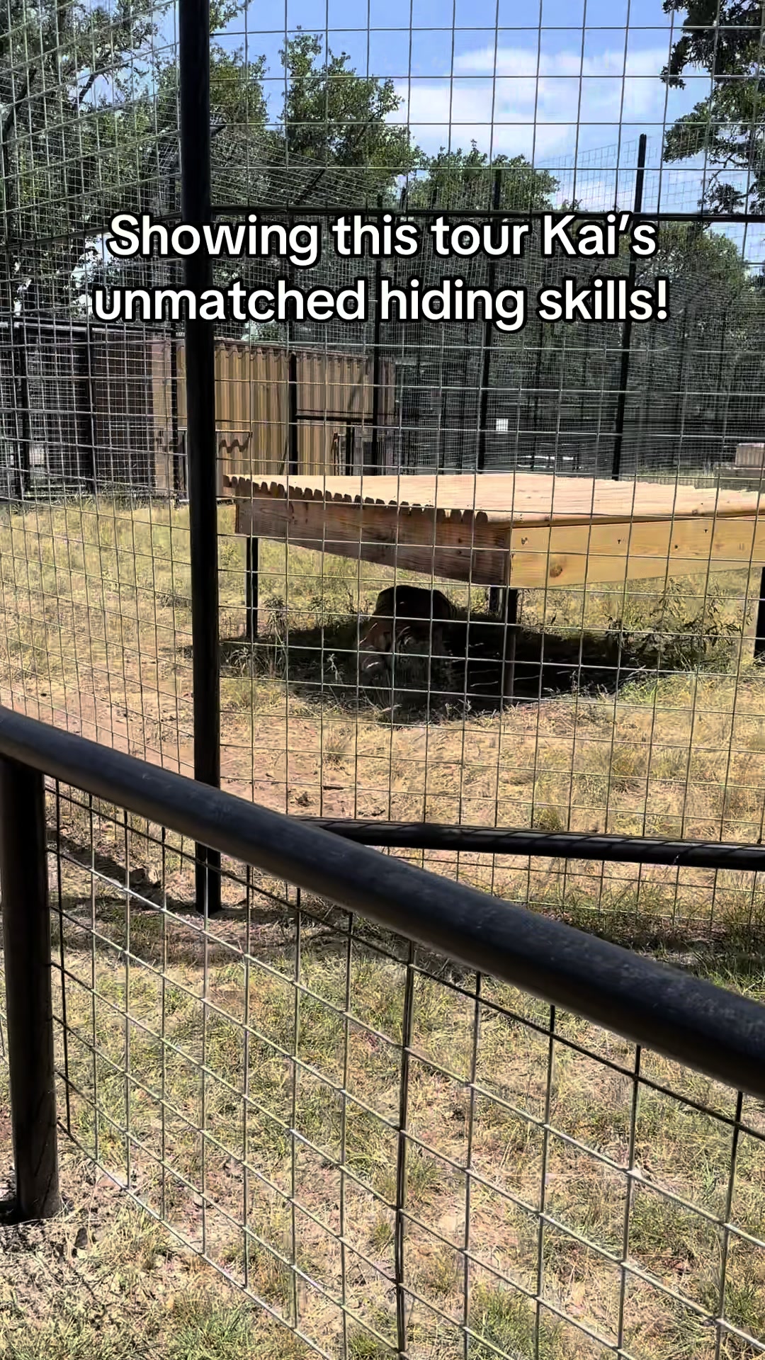@Texas Wildlife Park