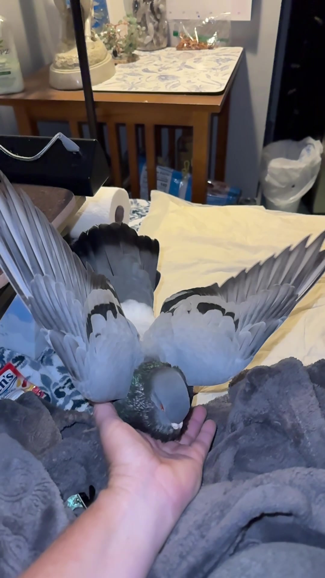 @Beebee The Pigeon