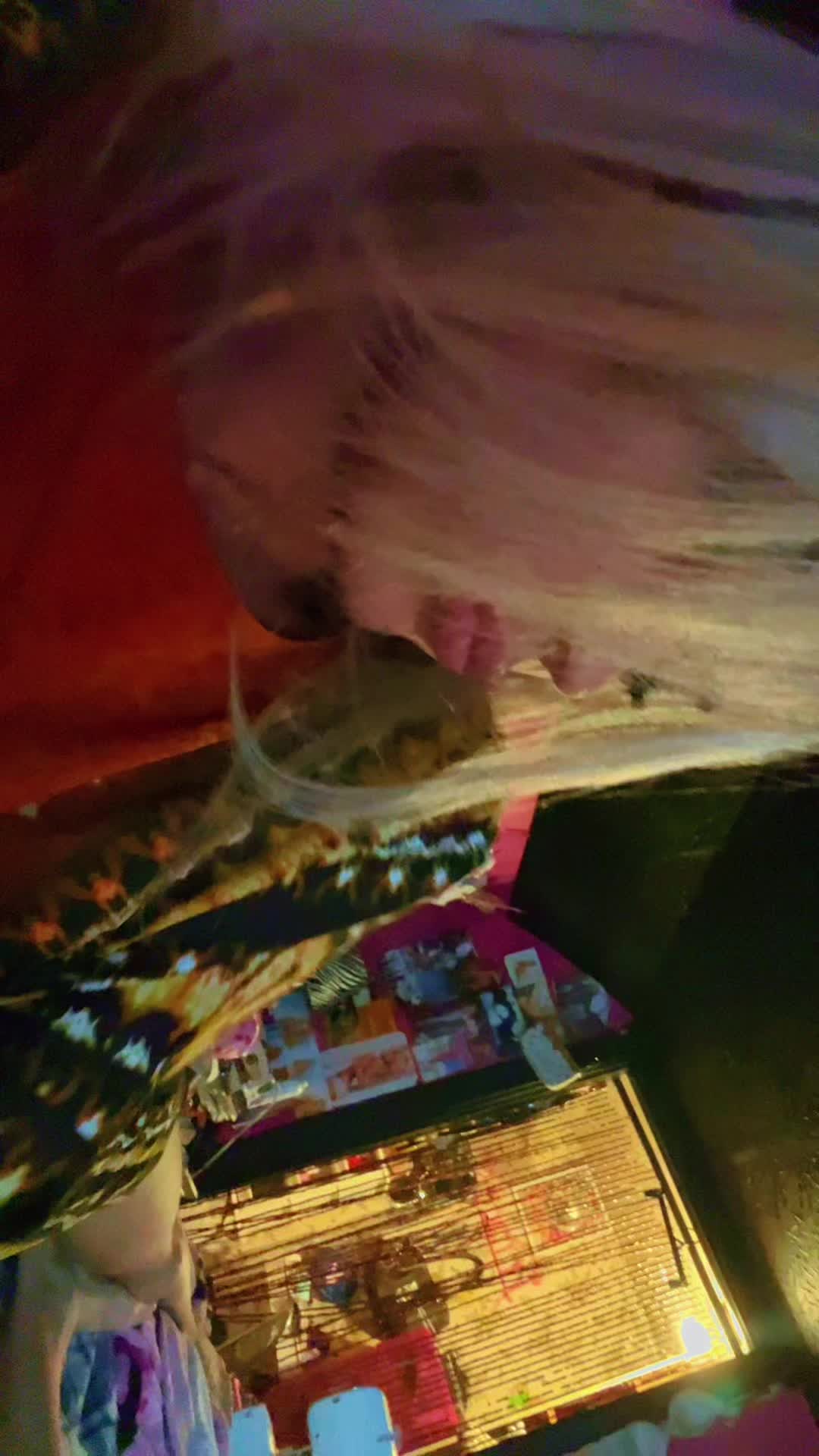 @𝒞𝒽𝒶𝓃𝑒𝓁 &deg;𝟧