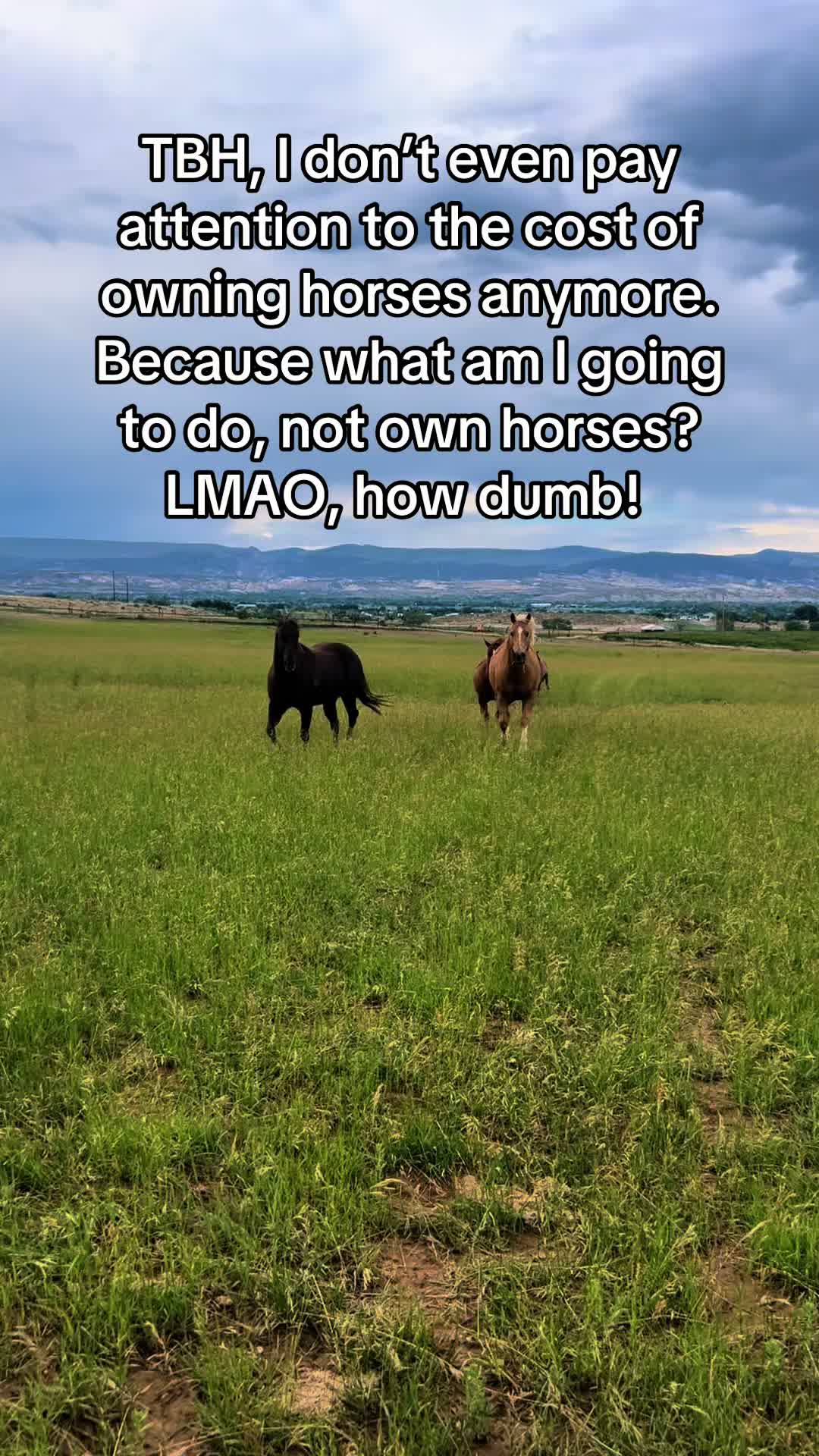 @Leslie