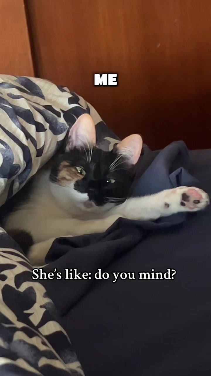@Meandthepipster