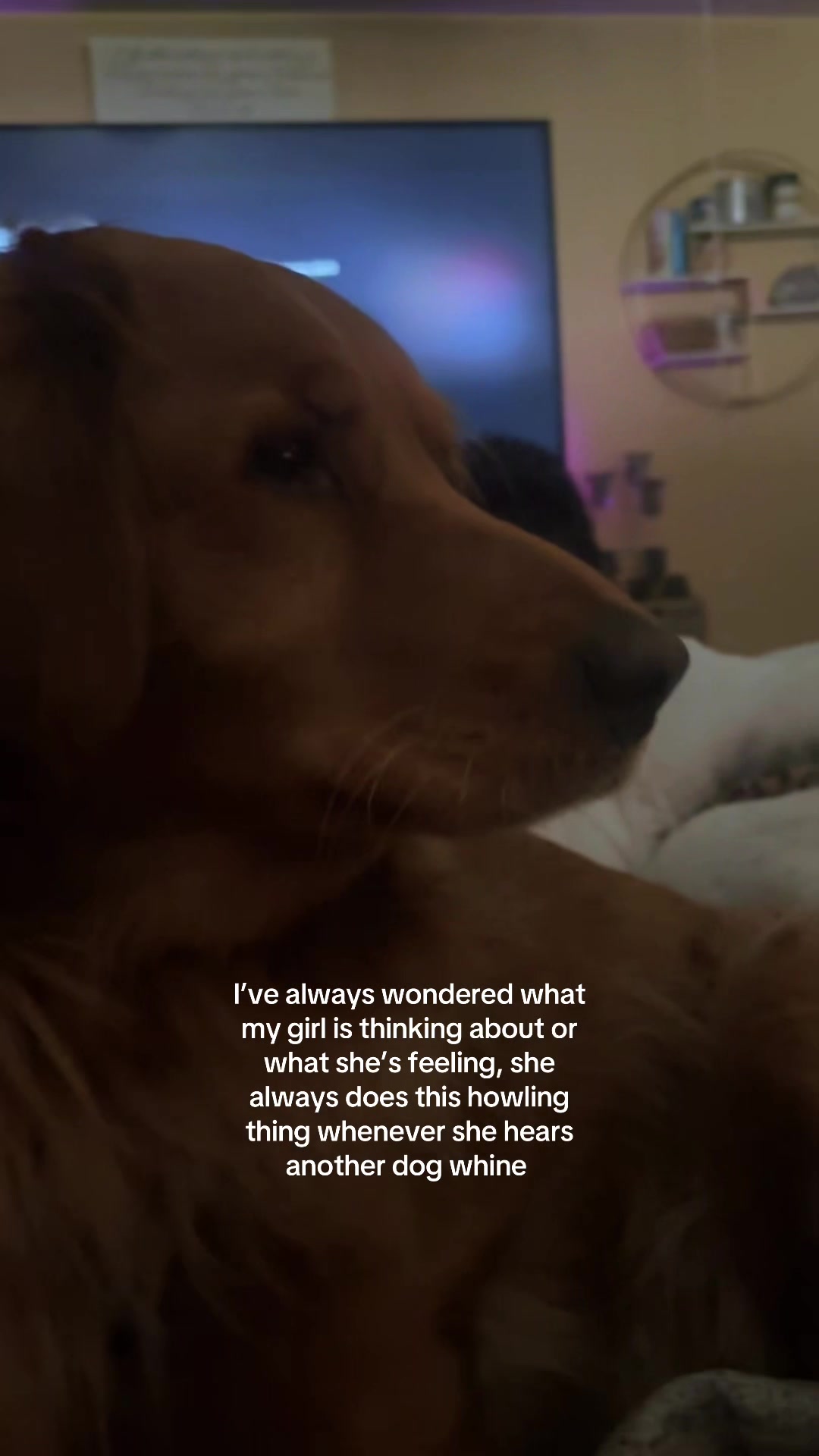 @LennyAndMaple