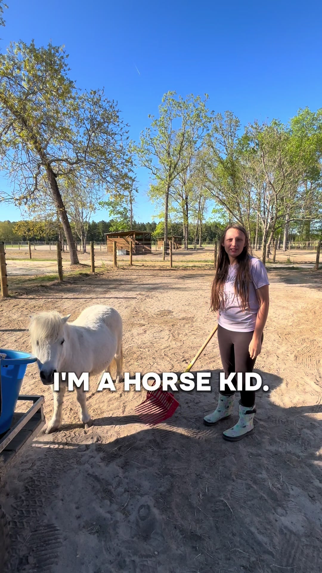 @itiswellstables