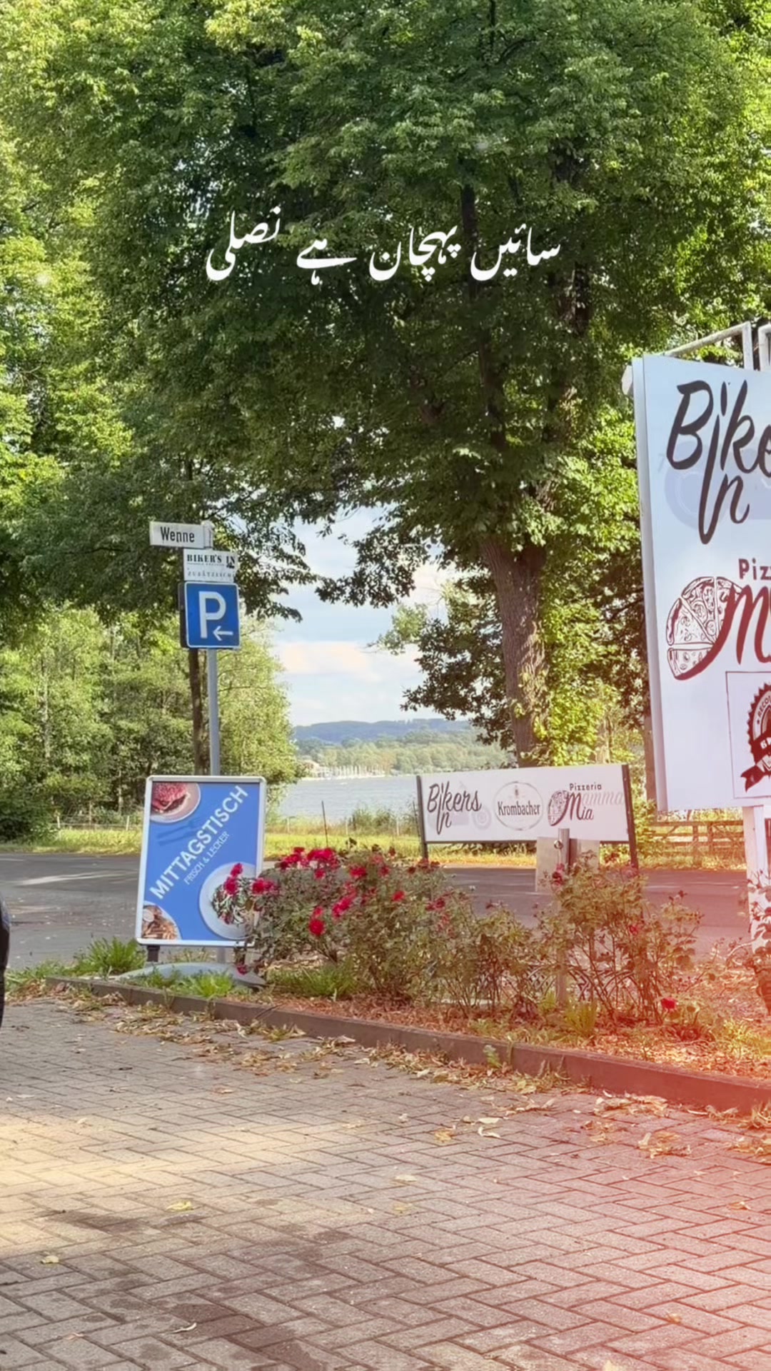 @ngint182🇨🇭