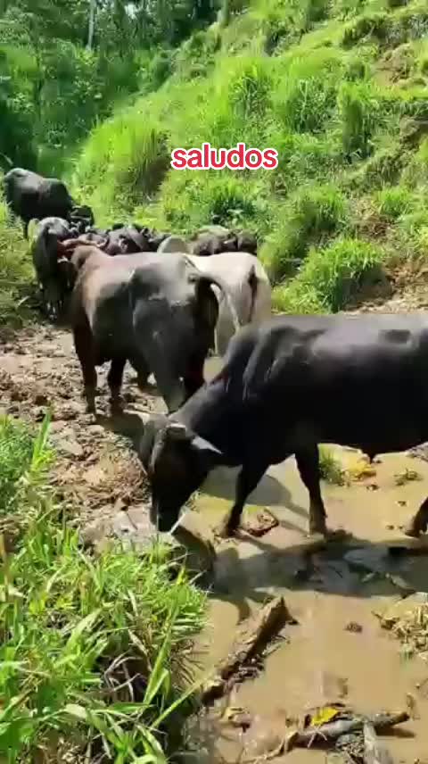 @NATURALEZARANCHO