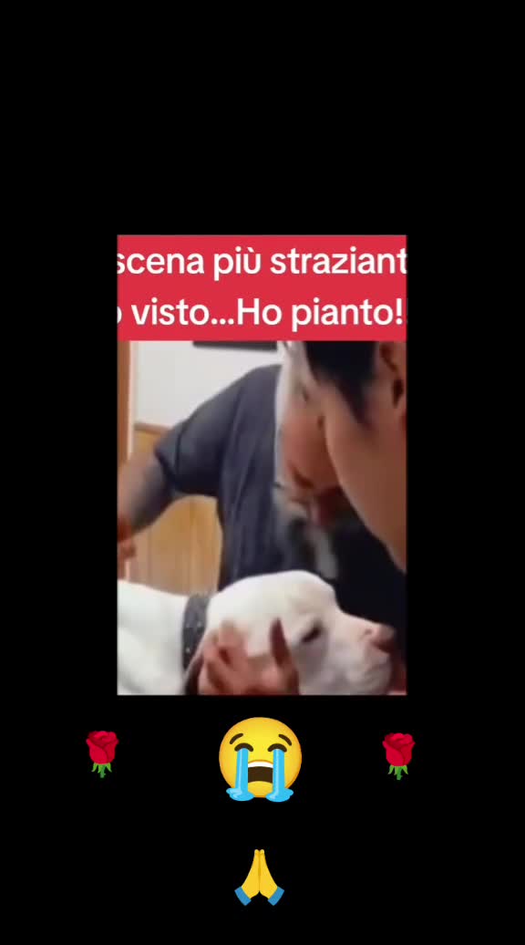 @gionny