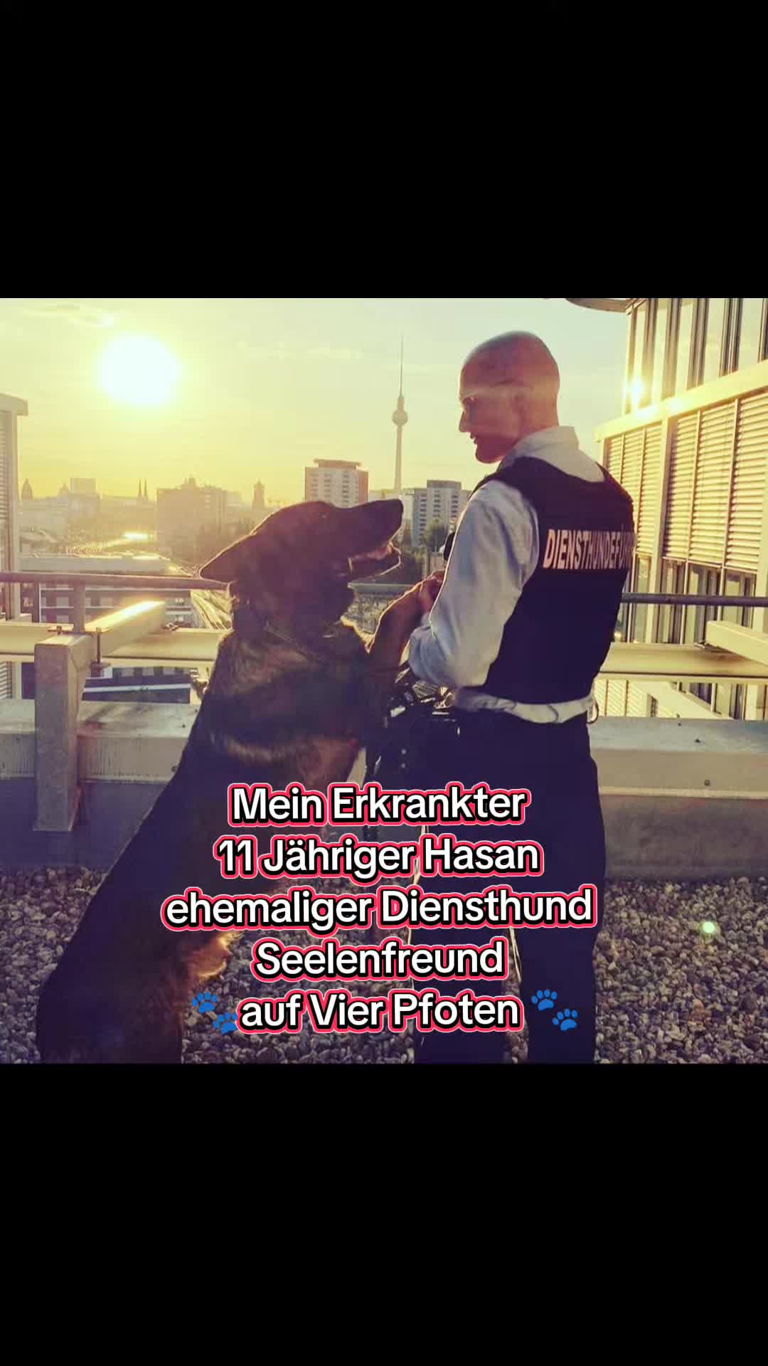 @K9 Palatinus-Unit☑️