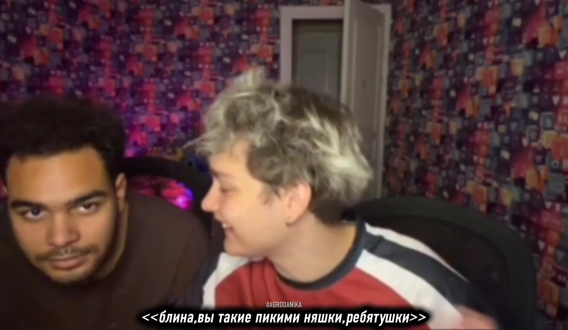 @#AGRODANIKA