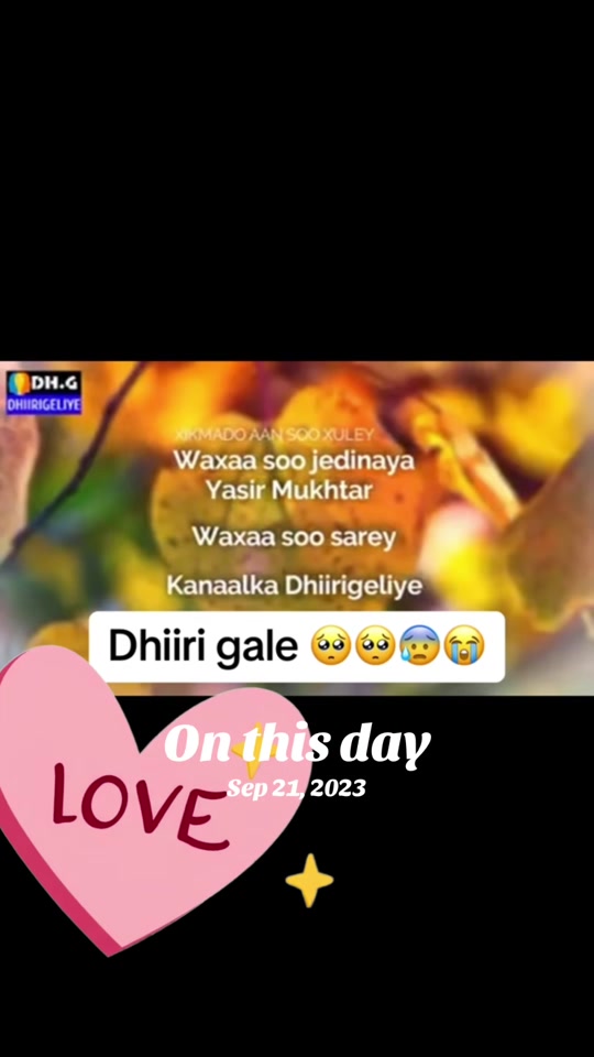 @Raxmam01