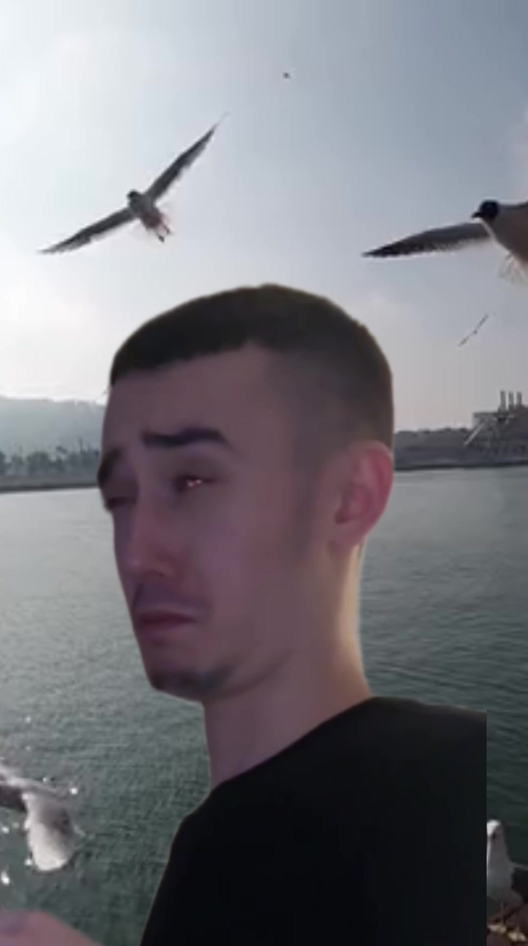 @egor4ik