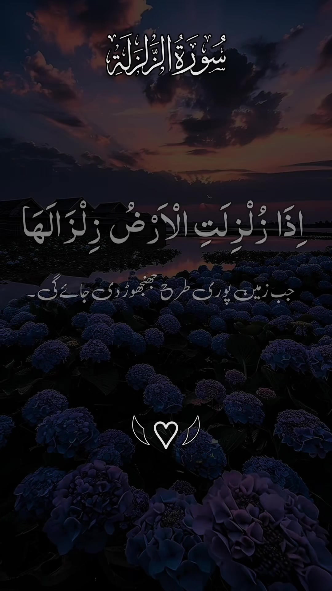 @❣️ Words of Allah ❣️