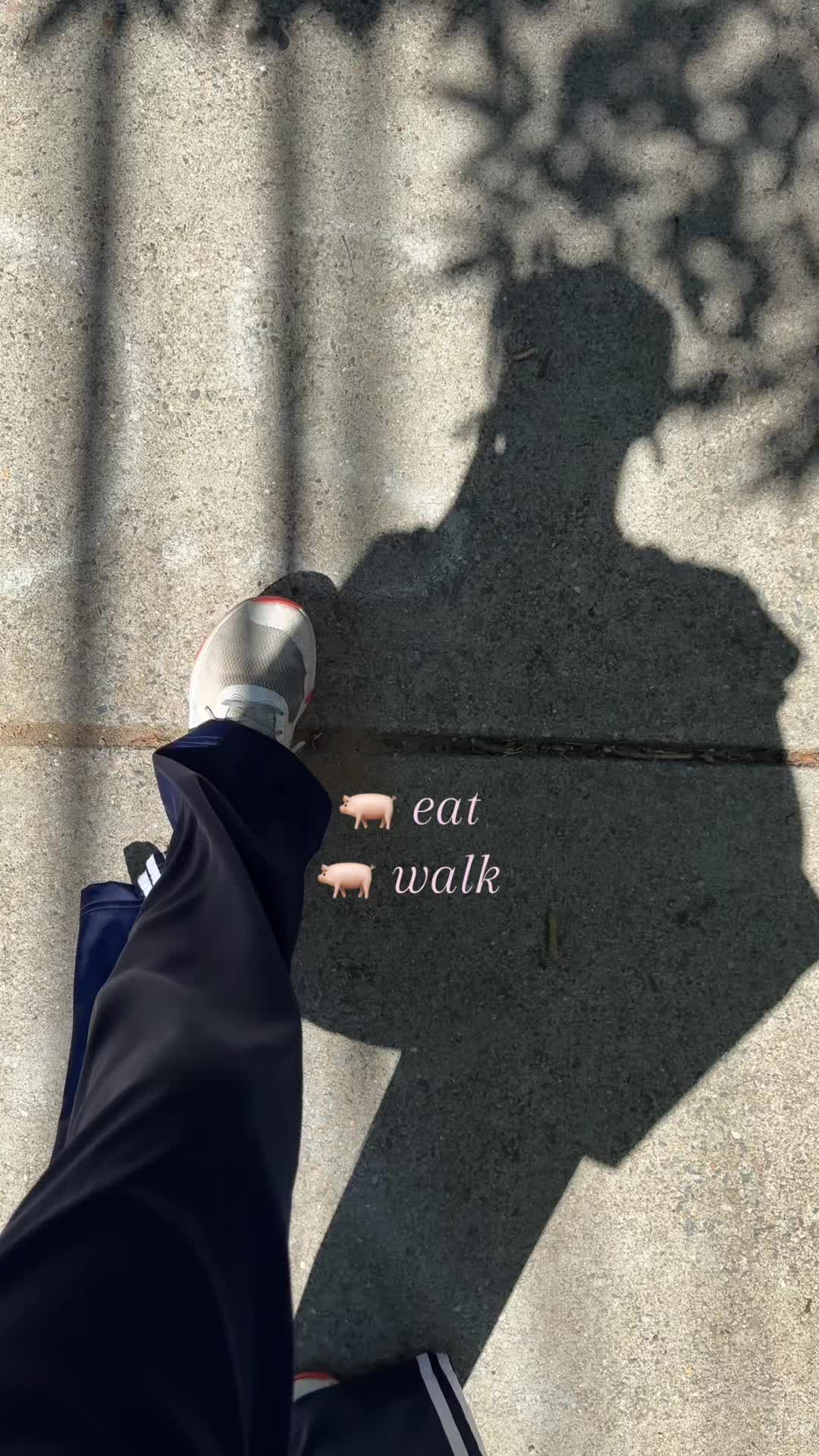 @🐷