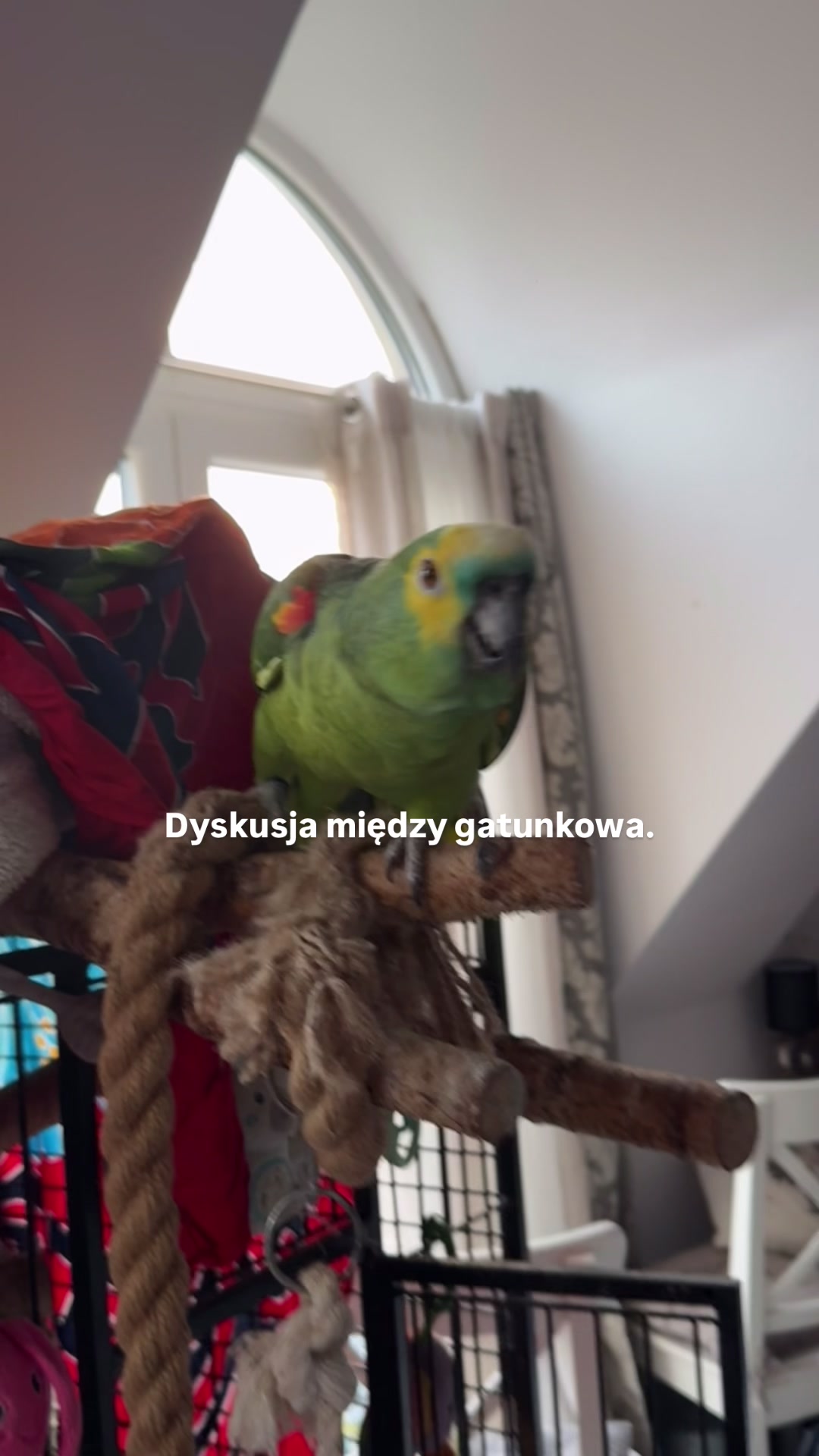 @klaudia_moon