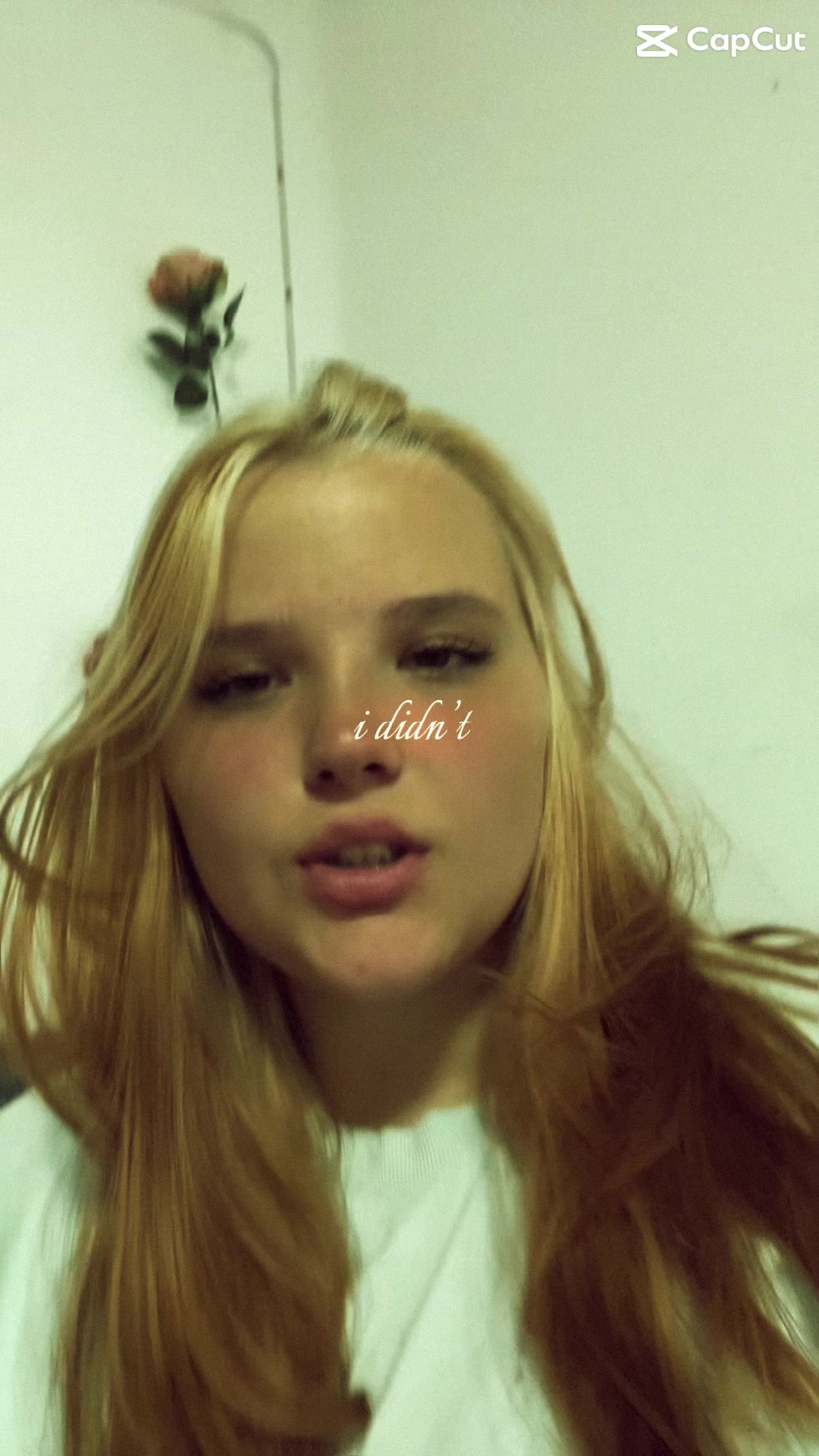@alissa_e09