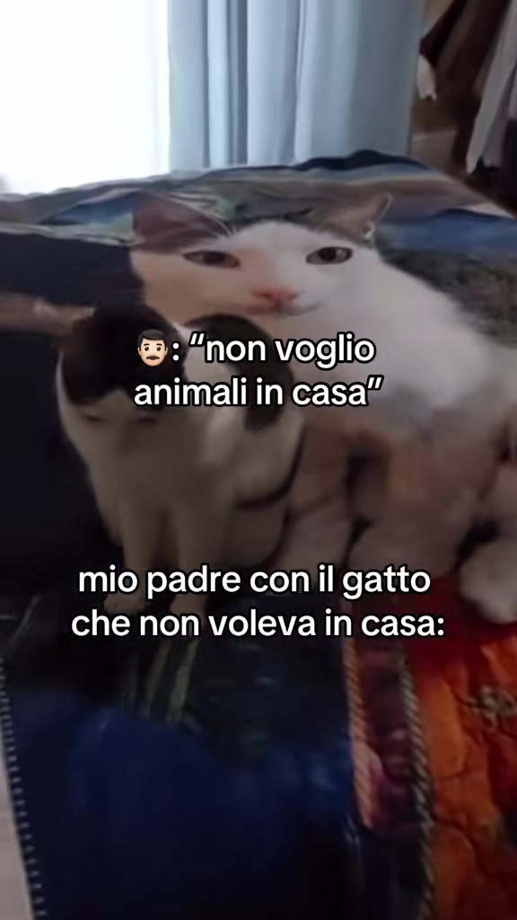 @Marco Ballarini Sindaco